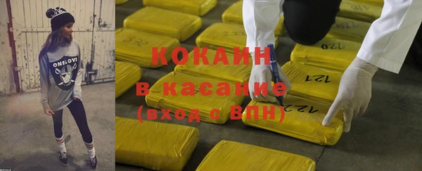 шишки Беломорск
