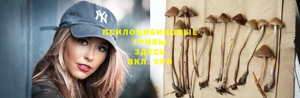 Альфа ПВП Балабаново