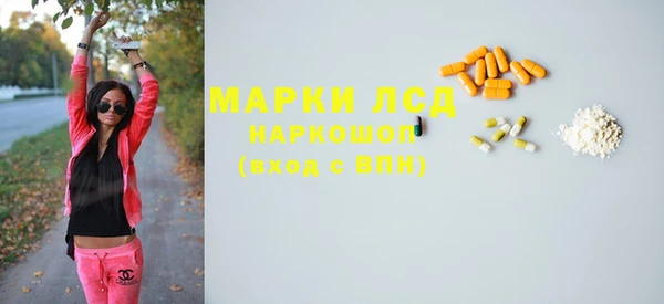 шишки Беломорск