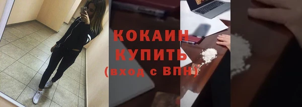 шишки Беломорск