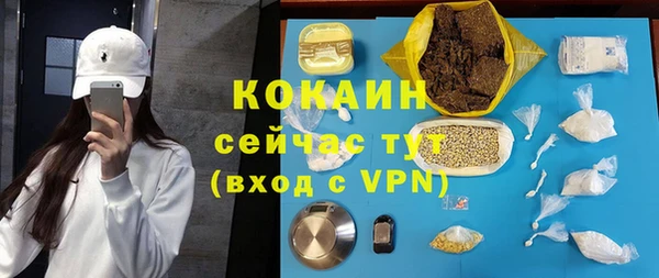 твердый Пересвет