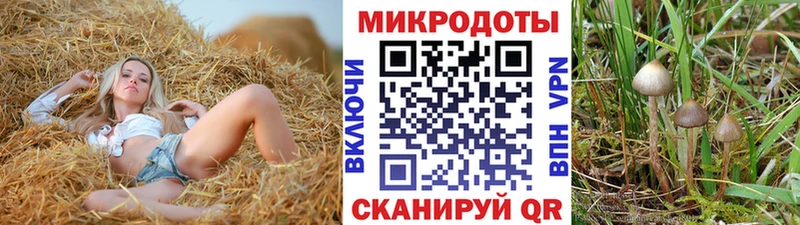 гидра зеркало  Болгар  Псилоцибиновые грибы MAGIC MUSHROOMS 