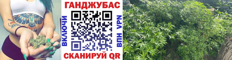 Марихуана планчик Болгар